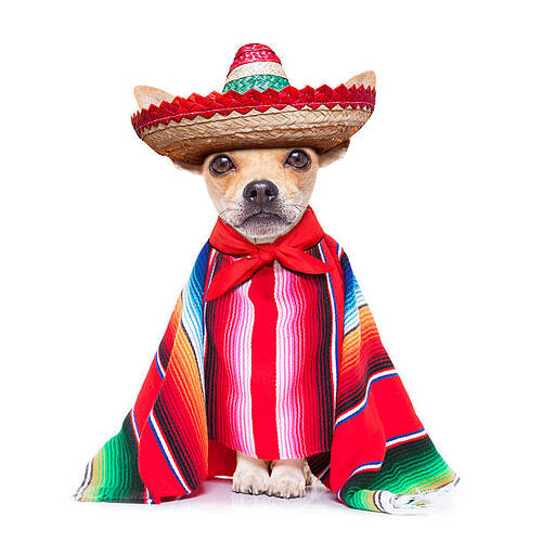 istockphoto-519402657-612x612