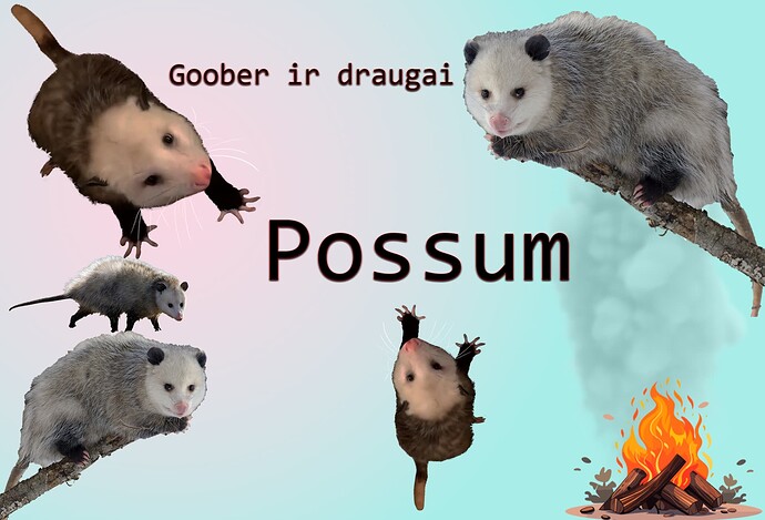 possumgoobercampfire